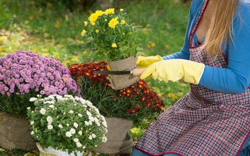 Accessibility request and ongoing improvement for local landscaping content
