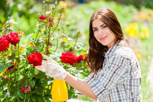 Professional landscaping and garden maintenance work in Brimsdown