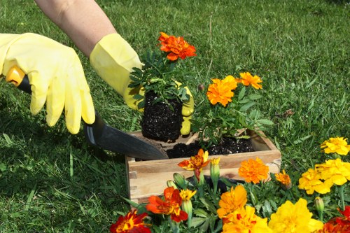Outdoor landscaping team assessing hazards before work begins
