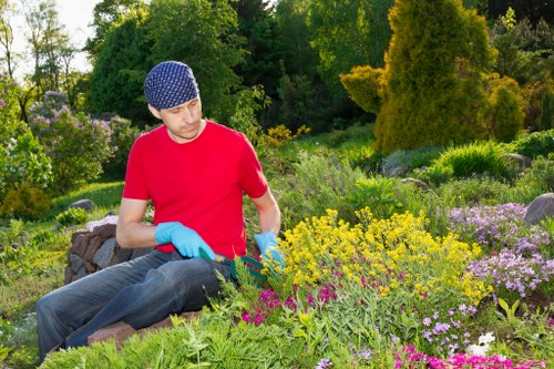 Professional garden clearance in Brimsdown handling green waste and debris