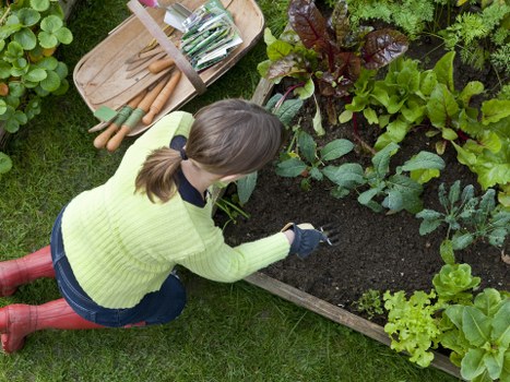 A Brimsdown landscaping team installing paving and garden features
