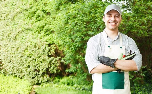 Healthy lawn care and mowing routine in a Brimsdown garden