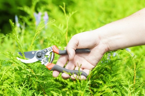 Workers separating green waste and reusable materials for charity donation