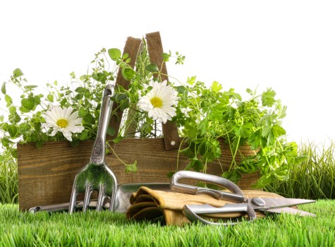 Safe online card payment for Landscapers Brimsdown