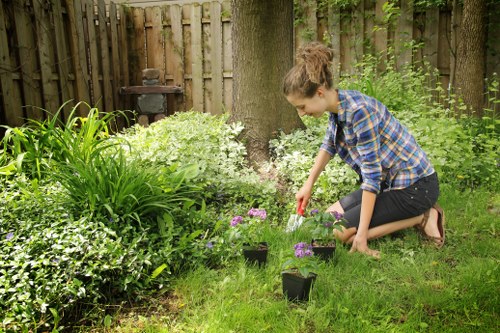 Inclusive web design and accessibility review for Landscapers Brimsdown