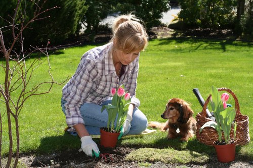 Clean garden beds and pathways in a Brimsdown outdoor space
