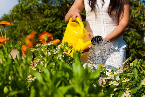 Mowing and maintaining a Brimsdown lawn