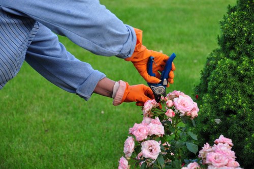 Screen-reader friendly local landscaping content display