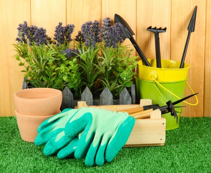 Professional lawn maintenance in Brimsdown